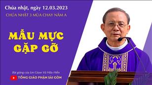 Mẫu mực gặp gỡ - Lm Giuse Vũ Hữu Hiền | CN 3 MC năm A
