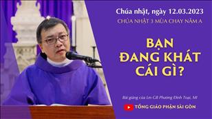 Bạn đang khát cái gì? - Lm GB Phương Đình Toại, MI | CN 3 MC năm A