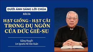 Bài 72: Hạt giống - Hạt cải trong dụ ngôn của Đức Giê-su | Dưới ánh sáng Lời Chúa