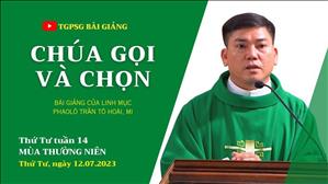 Chúa gọi và chọn - Lm Phaolô Trần Tô Hoài, MI | Thứ Tư tuần 14 TN