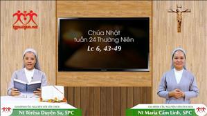 Gia đình cầu nguyện với Lời Chúa ngày 13-9-2020:  Chúa nhật 24 mùa Thường niên (Mt 18, 21-35)