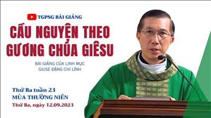 Cầu nguyện theo gương Chúa Giêsu - Lm Giuse Đặng Chí Lĩnh | Thứ Ba tuần 23 TN