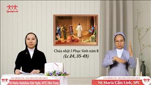 Anh em là chứng nhân - Chúa nhật 3 Phục sinh năm B (Lc 24, 35-48)