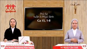 Gia đình cầu nguyện với Lời Chúa: Thứ Tư tuần 5 Phục Sinh (Ga 15, 1-8)
