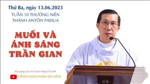 Muối và ánh sáng trần gian - Lm Giuse Đặng Chí Lĩnh | Thứ Ba tuần 10 TN