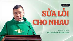 Sửa lỗi cho nhau - Lm GB Phương Đình Toại, MI | Thứ Tư tuần XIX Thường niên