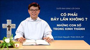 Bài 31: Có phải bảy lần không? | Dưới ánh sáng Lời Chúa