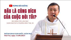 Đâu là cùng đích của cuộc đời tôi? - Lm GB Phương Đình Toại, MI | Thứ Tư tuần 23 TN