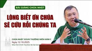 Lòng biết ơn Chúa sẽ cứu rỗi chúng ta - Lm GB Phương Đình Toại, MI | CN XXVIII TN năm C