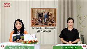 Như Cha trên Trời - Thứ Ba tuần 11 mùa Thường niên (Mt 5, 43-48)