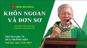 Khôn ngoan và đơn sơ - Lm Phanxicô Xaviê Bảo Lộc | Thứ Sáu tuần 14 TN