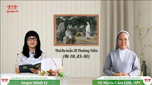 Lạc đà qua lỗ kim - Thứ Ba tuần 20 mùa Thường niên (Mt 19, 23-30)