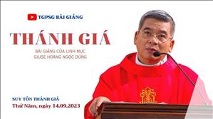 Thánh giá - Lm Giuse Hoàng Ngọc Dũng | Suy tôn Thánh giá