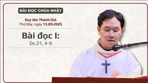 Bài đọc I: Ds 21, 4-9 | Lễ Suy tôn Thánh Giá