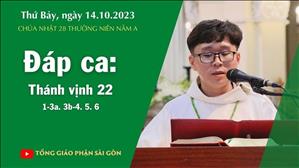 Đáp ca: Tv 22, 1-3a. 3b-4. 5. 6 - CN 28 TN năm A