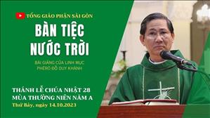 Bàn tiệc Nước Trời - Lm Phêrô Đỗ Duy Khánh | CN 28 TN năm A
