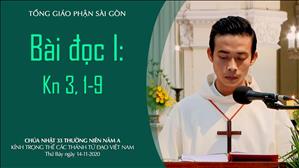 Kính trọng thể các thánh Tử đạo Việt Nam - Bài đọc I: Kn 3, 1-9