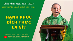 Hạnh phúc đích thực là gì? - Lm. Giuse Vũ Hữu Hiền | CN 2 TN năm A