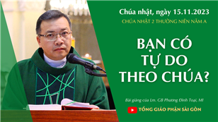 Bạn có tự do theo Chúa? - Lm. GB Phương Đình Toại, MI | CN 2 TN năm A