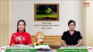 Nước Thiên Chúa - Chúa nhật XI Thường niên năm B (Mc 4, 26-34)