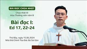 Bài đọc I: Ed 17, 22-24 - CN XI TN năm B