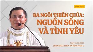 Ba Ngôi Thiên Chúa: nguồn sống và tình yêu - Lm Phêrô Trần Anh Tú, SDB | Chúa Ba Ngôi năm C