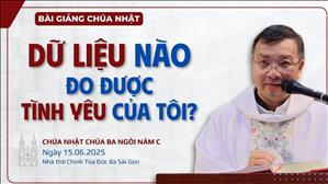 Dữ liệu nào đo được tình yêu của tôi? - Lm GB Phương Đình Toại, MI | Chúa Ba Ngôi năm C