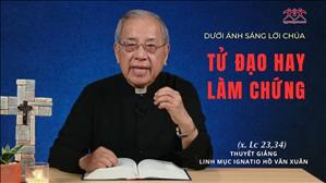 Bài 40: Tử Đạo Hay Làm Chứng | Dưới ánh sáng Lời Chúa