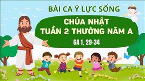Bài ca ý lực sống - Chúa nhật 2 Thường niên năm A - Ga 1, 29-34