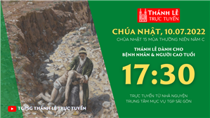TGPSG Thánh Lễ trực tuyến 10-7-2022: CN 15 TN năm C lúc 17:30 tại Trung tâm Mục vụ TPG Sài Gòn