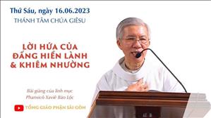Lời hứa của Đấng hiền lành & khiêm nhường - Lm Phanxicô Xaviê Bảo Lộc | Lễ Thánh Tâm Chúa Giêsu