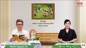 Yêu Thương Kẻ Thù - Thứ Ba tuần XI Thường niên (Mt 5, 43-48)