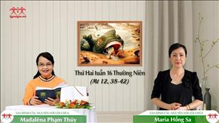 Đòi dấu lạ - Thứ Hai tuần 16 mùa Thường niên (Mt 12, 38-42)