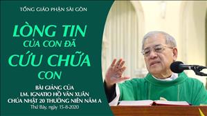 CN 20 Thường niên A - Bài giảng: Lòng tin của con đã cứu chữa con