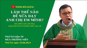 Làm thế nào để sửa dạy anh chị em mình? - Lm GB Phương Đình Toại, MI | Thứ Tư tuần 19 TN
