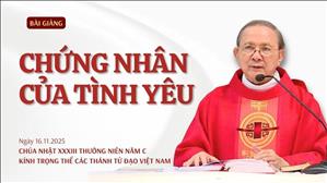 Chứng nhân của Chúa - Lm Giuse Vũ Hữu Hiền | Kính trọng thể các thánh tử đạo Việt Nam