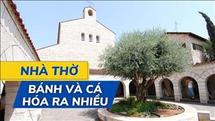 Lời & Đất Hứa: Nhà thờ Bánh và Cá hóa ra nhiều - CN 12 Thường niên năm C