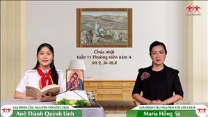 Gia đình cầu nguyện với Lời Chúa: Chúa nhật 11 Thường niên năm A (Mt 9, 36-10,8)