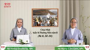 Chạnh lòng thương - Chúa nhật 16 mùa Thường niên năm B (Mc 6, 30-34)