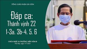 Chúa nhật 16 TN năm B - Đáp ca: Tv 22, 1-3a. 3b-4. 5. 6