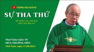 Sự tha thứ - Lm Rôcô Nguyễn Duy | Thứ Năm tuần 19 TN