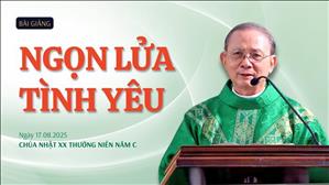 Ngọn lửa tình yêu - Lm Giuse Vũ Hữu Hiền | Chúa nhật XX Thường niên năm C
