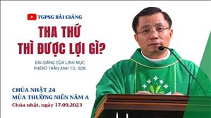 Tha thứ thì được lợi gì? - Lm Phêrô Trần Anh Tú, SDB | CN 24 TN năm A