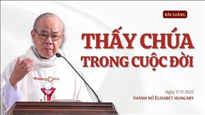 Thấy Chúa trong cuộc đời - Lm Rôcô Nguyễn Duy | Thứ Hai tuần XXXIII Thường niên