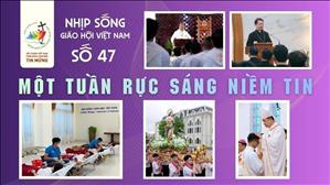 Nhịp sống Giáo Hội Việt Nam - Một tuần rực sáng niềm tin | NSGHVN số 47