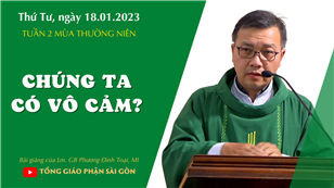 Chúng ta có vô cảm? - Lm. GB Phương Đình Toại, MI | Thứ Tư tuần 2 TN