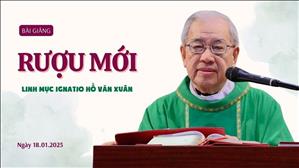 Rượu mới - Lm Ignatio Hồ Văn Xuân | CN II TN năm C