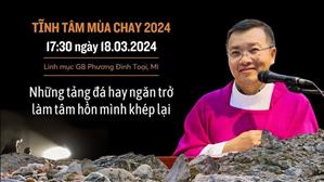 Những tảng đá hay ngăn trở làm tâm hồn mình khép lại - Lm GB Phương Đình Toại, MI