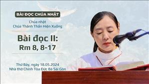 Bài đọc II: Rm 8, 8-17 - CN Chúa Thánh Thần Hiện Xuống