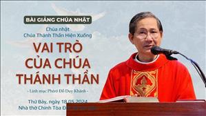 Vai trò của Chúa Thánh Thần - Lm Phêrô Đỗ Duy Khánh | CN Chúa Thánh Thần Hiện Xuống